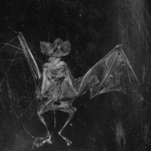 Preizher : Avel an Breinentez Preizher : Avel an Breinentez